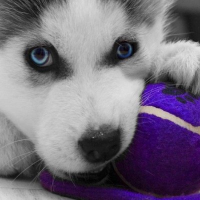 bkj760's profile picture. 