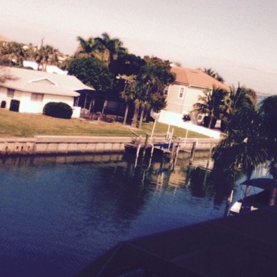 seagrl21's profile picture. #SUPERFAMILY