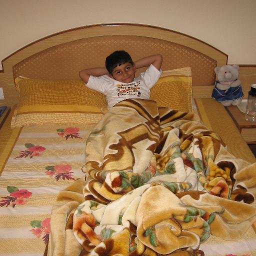 Undergraduate student at BITS Pilani.
