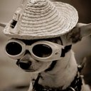 Chris Esler - @chrisesler - Twitter