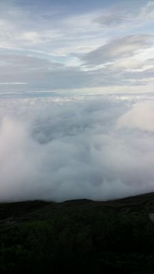 BaseboxHigh's profile picture. 