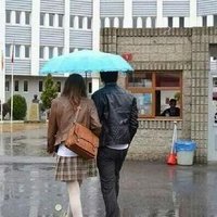 Melis Güzel (@akmelvarol1) 's Twitter Profile