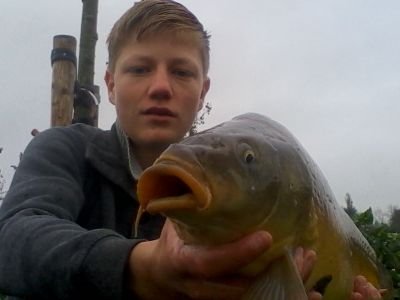 pils