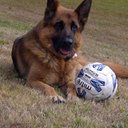 Rob Kay - @RobKay12 - Twitter