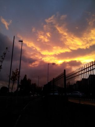 OverdosedONKpop's profile picture. 