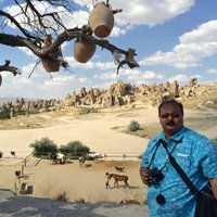 Niladri Sengupta (@niladrisg1) 's Twitter Profile