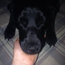 joshua roach - @joshuaroach13 - Twitter