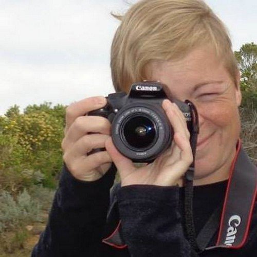 kdfrene's profile picture. 