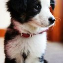 Abbey williamson - @Abbeywill551 - Twitter