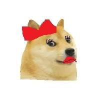 The more I learn about people, the better I like doges