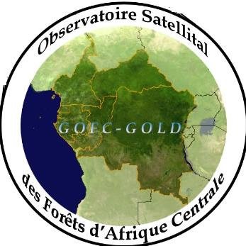 Observatoire Satellital des Forets d'Afrique Centrale, centre d'excellence en Télédétection et Systèmes d'Information Géographique en Afrique Centrale