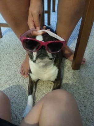 01dbc27cc18944b's profile picture. 