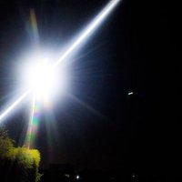 まっさー (@delightminusbi) Twitter profile photo