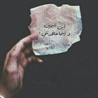 كن جميلاً تعش سعيداً.