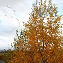 Anja Hansen Vålbekk - @AValbekk - Twitter