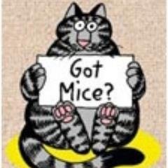 Got_Mice Profile Picture