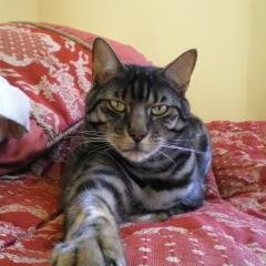 DianeMorlidge's profile picture. 