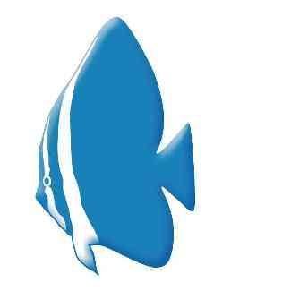 200+ goedgevulde zeewater- en 400+ zoetwateraquaria, uitgebreid assortiment, (maatwerk)aquaria, wekelijkse import, CO2-vulstation, sinds 1961!