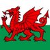 Wales Cymru (@walescymru94) Twitter profile photo