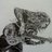 Demoneous666's profile image