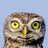 DocNatureBlog's profile image