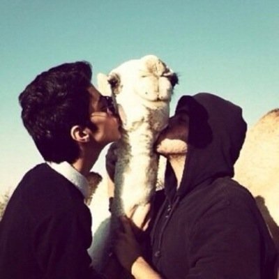 ي مدور زلتي ادور معك.