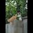 圄彌さんのプロフィール画像