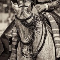 Doma Vaquera (@lavaquera) 's Twitter Profile Photo