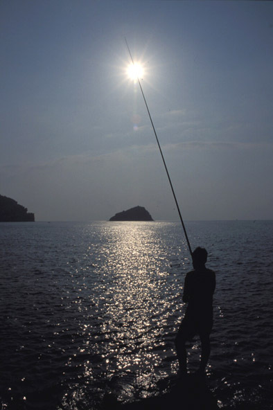 guiadepescarj's profile picture. 