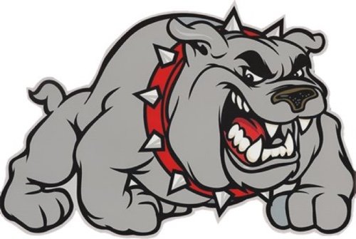 #1 Fan of my kids. Let's go Bulldogs!