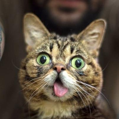 Kakos2043's profile picture. 