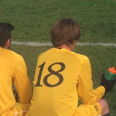 boshizzle26's profile picture. i like turtles