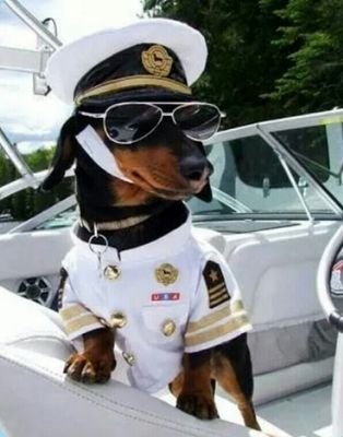 chwaiwatarmy's profile picture. 