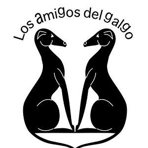 Grupo de rescate de galgos que forma parte de la variedad de actividades de protección animal que desarrolla la Fundación Amigos del Perro.