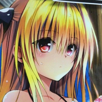 トットーとーさんのプロフィール画像