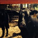 Mike Devitt - @mdevitt101 - Twitter