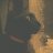 LosecatXiou's profile image