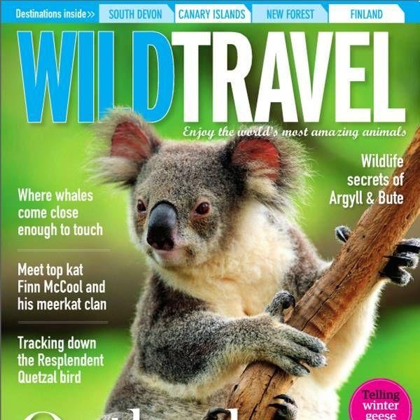 Wild Travel is dedicated to helping readers discover the world's most amazing wildlife encounters