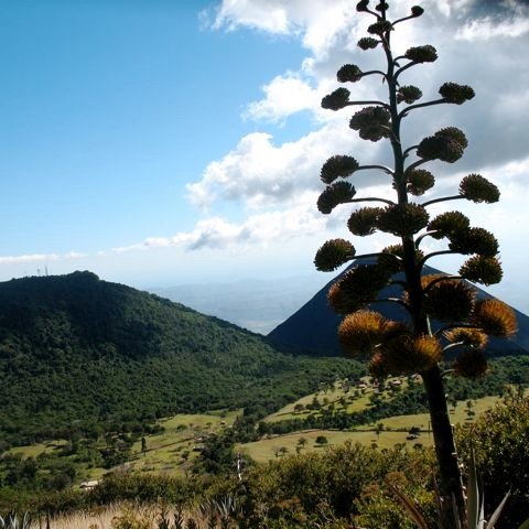 Desde el valle de Tenochtitlan hasta el Guanacaste, nos movilizamos en acción por los Derechos Humanos.
