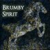 brumbyspirit (@brumbyspirit) Twitter profile photo