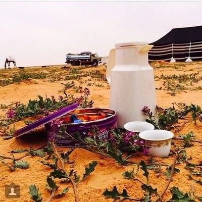 MHAFFL's profile picture. 