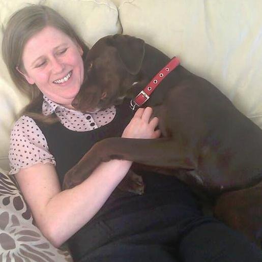 Dog WalkIing, Dog Daycare, Dog Home Boarder In Chorley Lancashire