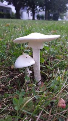 JenKel21's profile picture. 