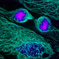 Gerber Lab (@gerberlab) 's Twitter Profile