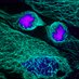 Gerber Lab (@gerberlab) Twitter profile photo