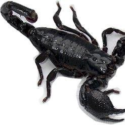 FriedBe3140's profile picture. Passion for technology, Internet of Things, photography, whisky, wine, skiing, Audi, ...