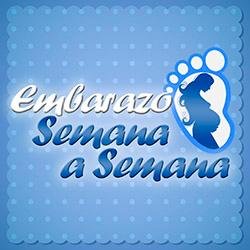 Cuenta de Twitter oficial del blog donde podrás leer sobre las semanas de embarazo e informarte de los sintomas y el desarrollo del mismo.