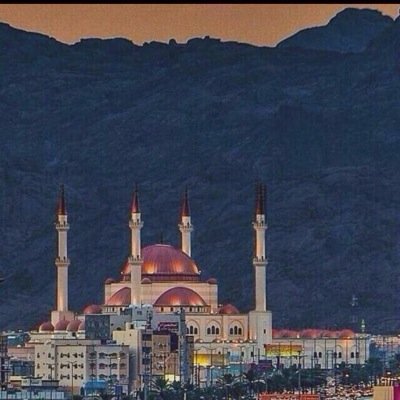 m19135's profile picture. 