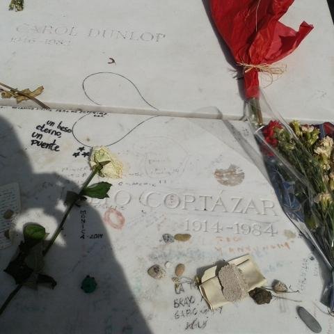 profesonialu's profile picture. 