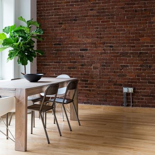 MopSquadFlorida's profile picture. Gainesville's techie house cleaning company providing convenient online booking and immaculate homes.